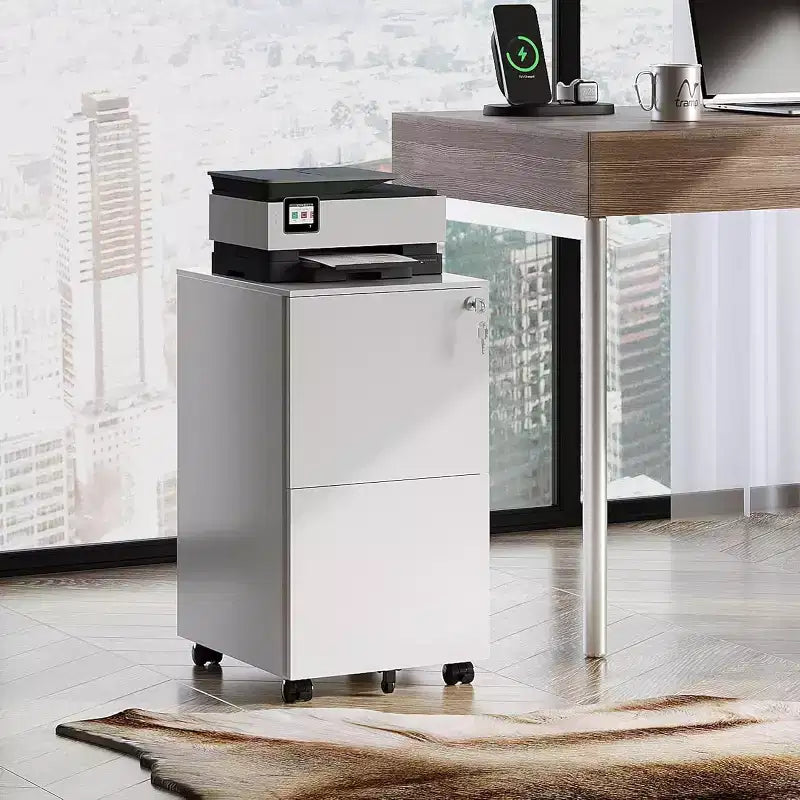 2-Drawer Cabinet with Lock, Commercial Vertical Cabinet for Home Desk Storage
