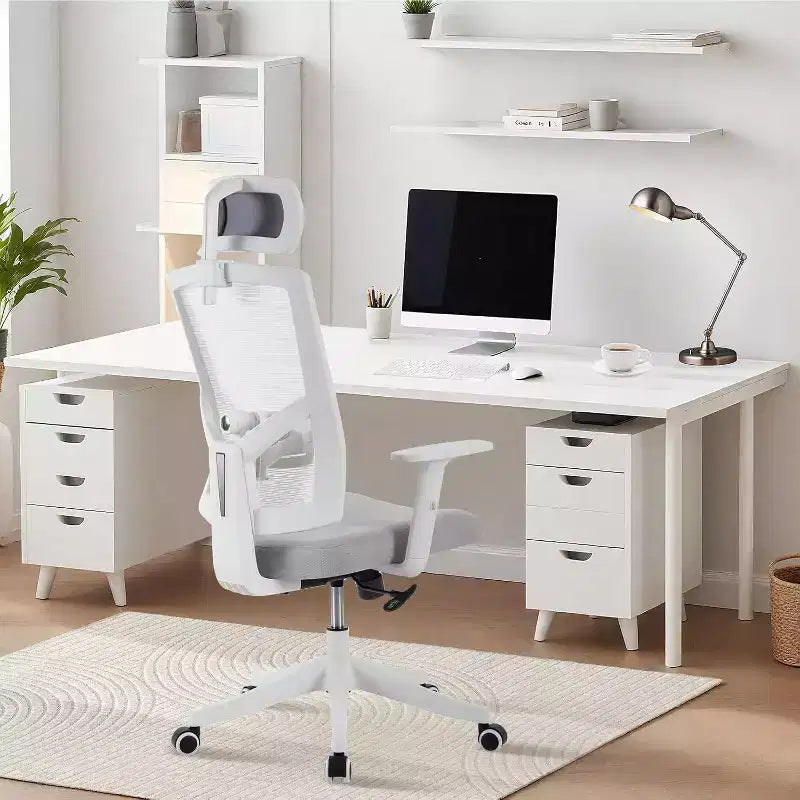 Office Chair, Desk Chair with Adjustable Chairs for