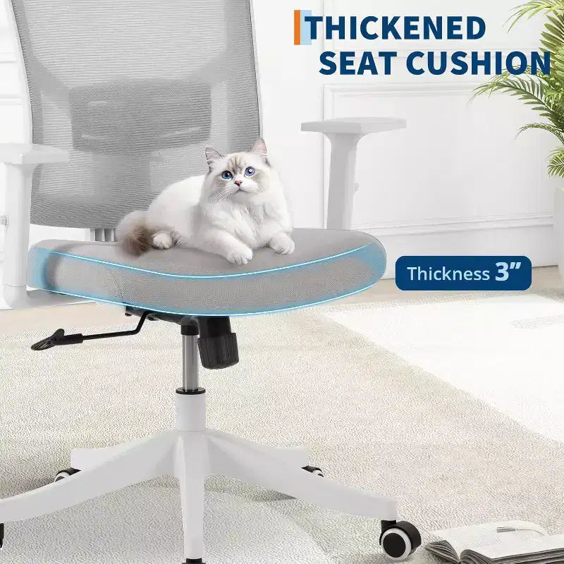 Office Chair, Desk Chair with Adjustable Chairs for