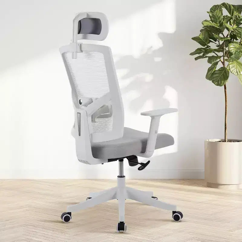 Office Chair, Desk Chair with Adjustable Chairs for
